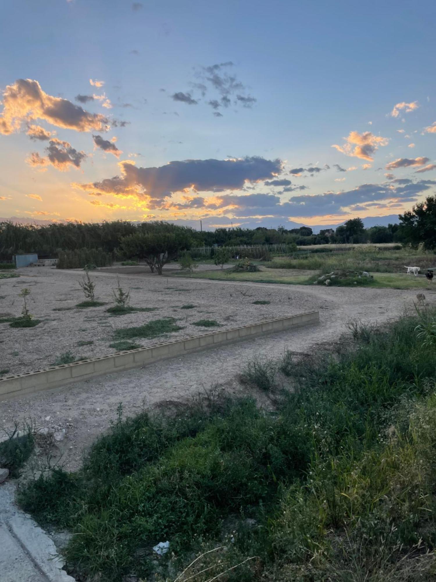 Emporda Country House Borrassá Εξωτερικό φωτογραφία